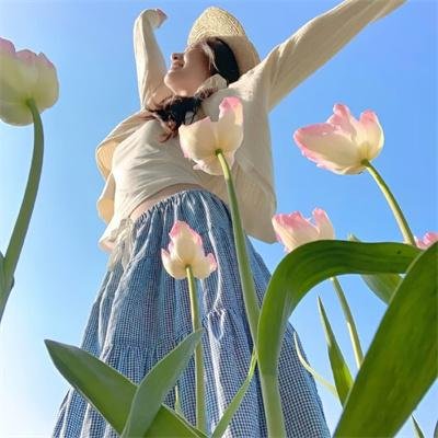 青春皇家恋曲